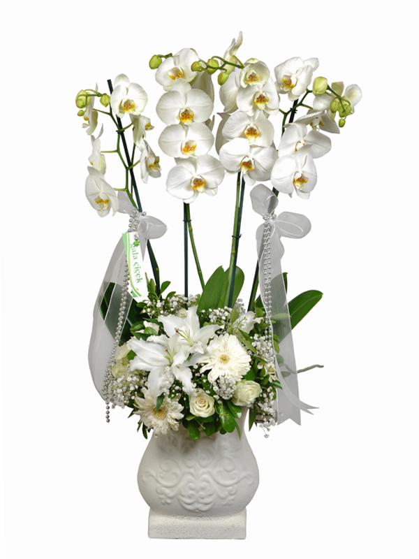 Beyaz Orkideli Aranjman 