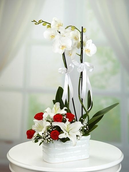 Orkide Lilyum ve Güller 